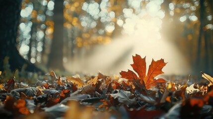 Wall Mural - Warm Autumn Leaves Carpet on Forest Floor with Sunlight Rays