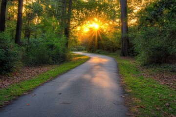 Wall Mural - Sunset path winding through autumnal forest