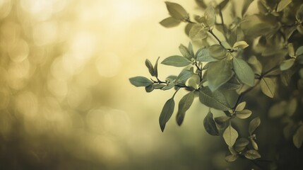 Poster - Lush green leaves framed by soft bokeh tones create a nostalgic atmosphere in a serene outdoor setting