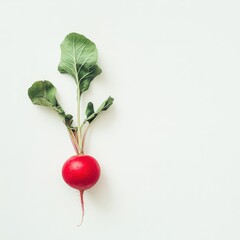 Poster - Fresh red radish with green leaves positioned on a clean white background for culinary inspiration and health benefits