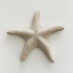 Poster - Detailed starfish with textured arms displayed against a plain white background highlighting its unique patterns