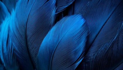 Wall Mural - beautiful abstract blue feathers on black background black feather texture and blue background feather wallpaper blue texture banners love theme valentines day light blue texture dark gradient