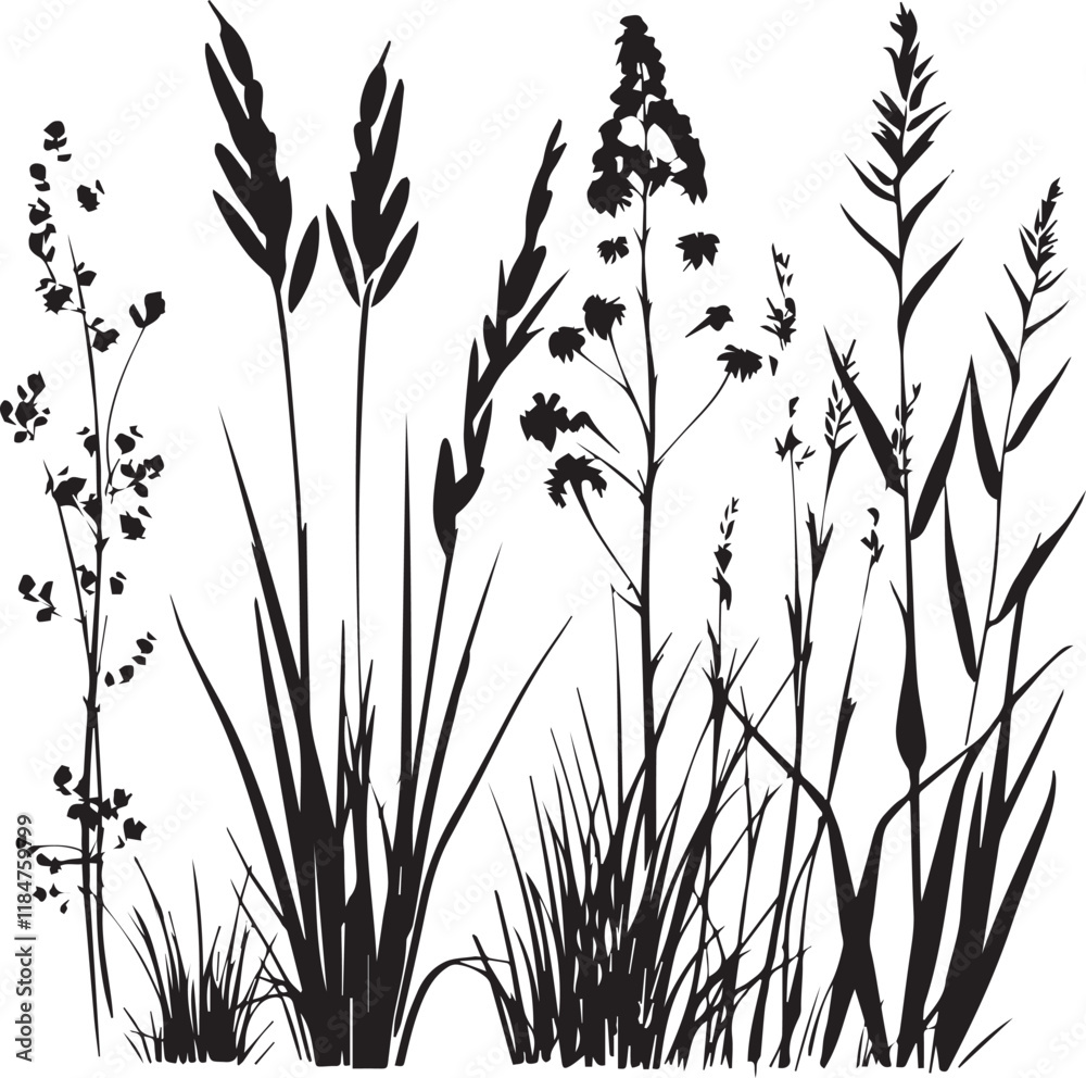 Long grass silhouette vector black and white background Stock Vector ...