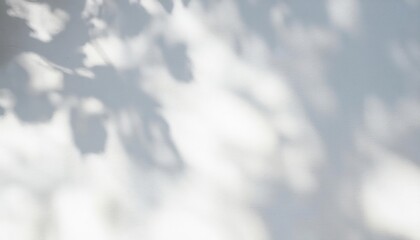 Poster - soft shadows of tree branches and leaves on textured white wall, minimalist natural background for design, modern aesthetic