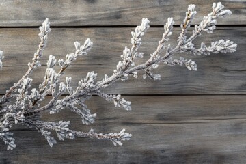 Wall Mural - Frost-covered branches elegantly arranged on a rustic grey wooden background.