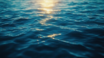 Poster - Tranquil water surface reflecting warm sunlight at sunset, creating a serene atmosphere.