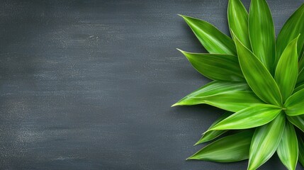 Poster - A green plant on a black background