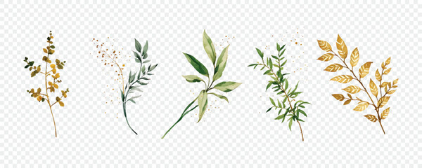 Watercolor vector green plants, leaves, twigs with golden elements isolated on transparent background
