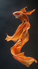Poster - An elegant orange goldfish glides gracefully through vibrant flowing fabric, creating a dynamic underwater scene.