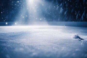 Poster - A serene winter landscape with falling snowflakes, creating a tranquil and dreamy atmosphere.