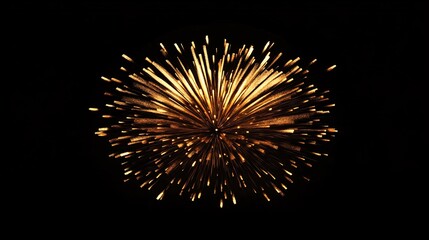 Poster - Stunning golden fireworks burst against a dark sky, creating a vibrant, celebratory display.