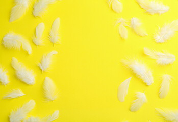 Wall Mural - Beautiful fluffy feathers on yellow background, flat lay. Space for text