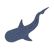 Vector hand drawn sketch doodle colored whale shark isolated on white background
