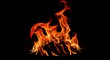 © TheseusStock - Fire flames on black background