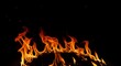 © TheseusStock - Fire flames on black background