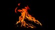 © TheseusStock - Fire flames on black background