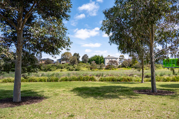 Wall Mural - A well-maintained grass lawn with tree shade in a nature reserve or suburban neighborhood park in Australia, featuring a community outdoor green space with houses in the distance. Point Cook,Melbourne