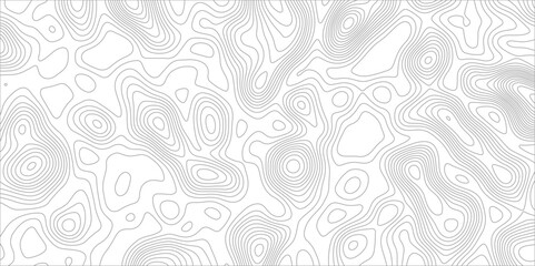 Poster - Abstract background with topographic map white background. The stylized height of the topographic map contour in black lines. gradient multicolor wave curve lines banner background design.