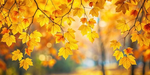 Canvas Print - Vibrant yellow autumn leaves hanging from tree branches, fall, foliage, vibrant, yellow, autumn, leaves, tree, branches