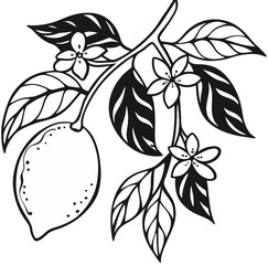 Wall Mural - lemon fruit on a branch with leaves