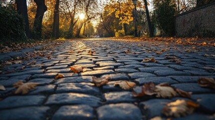 Poster - Cobblestone road strewn with autumn leaves, sunlight through trees.