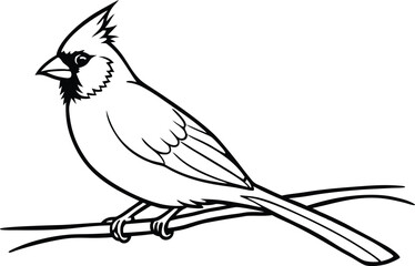 cardinal bird on branch vector, bird on a branch line art vector isolated white background