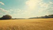 © NFTNexus - Golden wheat field under sunny skies with vibrant lens flare showcasing rural agriculture in a vintage style landscape.