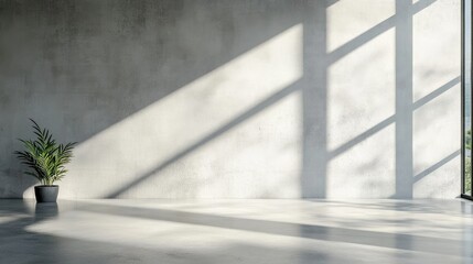 Wall Mural - Minimalist Interior with Concrete Wall and Natural Light Casting Shadows on Floor