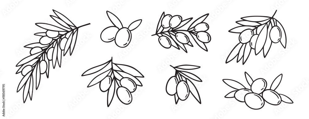 olive branch isolated doodle hand drawn on white background set ...