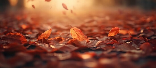 Wall Mural - Fallen autumn leaves with vibrant colors in soft light creating an inviting atmosphere and ample space for text or design elements