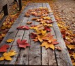 © Alocade - A fallen branch and a scattering of autumn leaves blanket the surface of an old wooden bench, seasonal decor, outdoor lifestyle