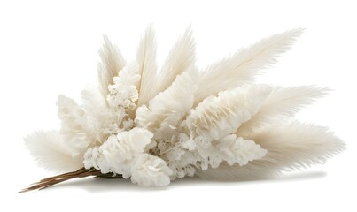 Wall Mural - Off-white pampas grass and sea coral bouquet.