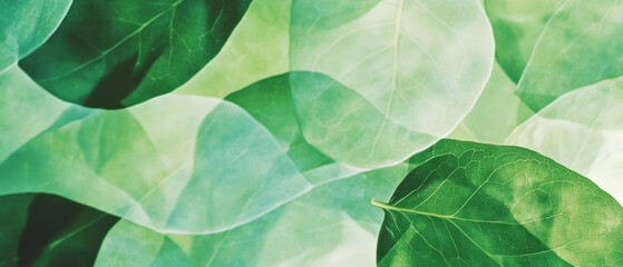 Poster - Fresh green leaf texture showcasing natural organic vibrancy in a colorful pattern