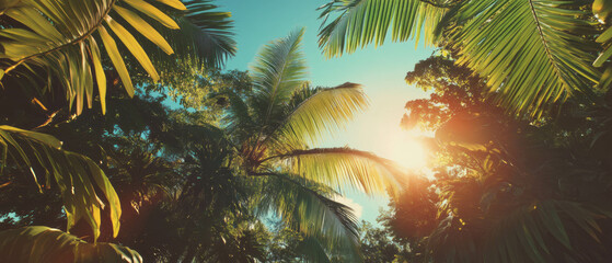 Poster - Embracing tranquility in a tropical paradise with sunlit palm trees and nature's beauty