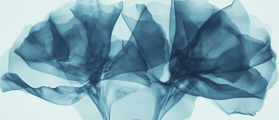 Poster - X-ray view of carnation petals showing intricate structure and ruffled edges