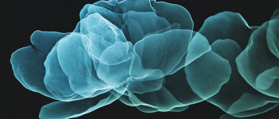 Poster - X-ray visualization reveals intricate structure of rose petals showcasing delicate beauty