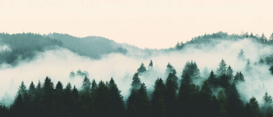 Poster - Seamless pattern of morning mist enveloping a tranquil forest landscape