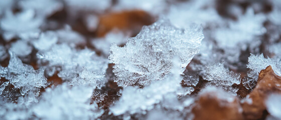Poster - Unique icy rain droplets form intricate textures on surfaces in nature