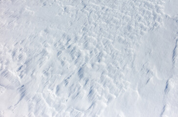 Wall Mural - The snow is white and the ground is covered in it