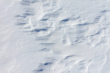 Wall Mural - The snow is white and the ground is covered in it