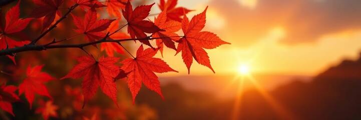 warmly lit maple tree branches against the backdrop of a sunset, warm, branches