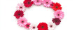 © Duka Mer - A wreath of pink and red gerbera daisies forms a circular design with a white background. The vibrant colors and clipart style evoke romance and celebration.