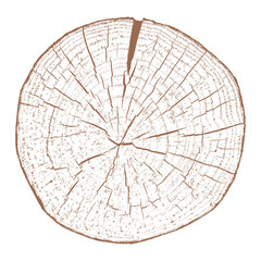 Wall Mural - Tree wood texture. Wooden old trunk. Cut timber log. Abstract rings nature pattern. Brown circle stump. Wood cross section.