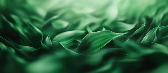 Poster - Blurred abstract background of green leaves suitable for wallpaper. with copy space image. Place for adding text or design