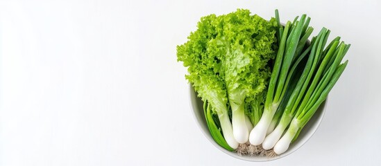 Aufkleber - Three green onions and lettuce in a bowl on a white backdrop Top to bottom layout. with copy space image. Place for adding text or design