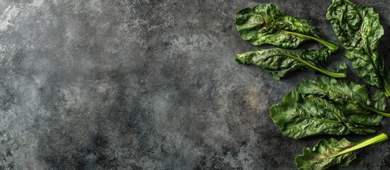 Fototapete - Balkan cuisine Blitva chard leaves a favored leafy vegetable Copyspace for text