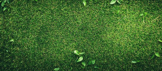 Leinwandbilder - The texture of the artificial green grass is quite lovely making it an excellent choice for a background. with copy space image. Place for adding text or design