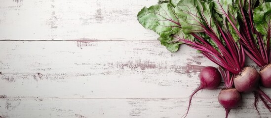 Leinwandbilder - Beetroot plants on a white wooden table. with copy space image. Place for adding text or design