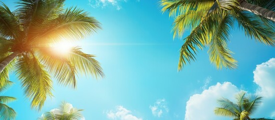 Poster - Palm trees against the blue sky with copy space for text