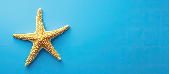 Poster - Flat lay photo of a starfish on a blue table top view with copy space for showcasing your product summer theme
